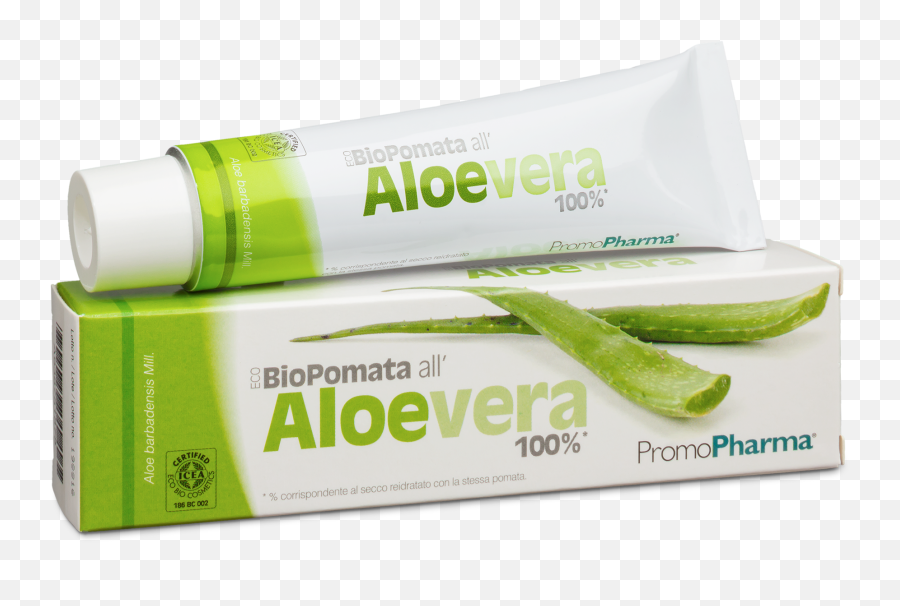 Ecobiopomata Aloe Vera 100 A Cosa Serve Recensioni E - Aloe Vera Png,Aloe Vera Plant Png