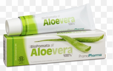 Ecobiopomata Aloe Vera 100 Cosa Serve Recensioni - png