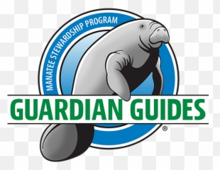 Springs Coast Kayaking Tours Mantees Dolphins Crystal - Huge Png,Manatee Icon