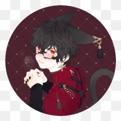 Akira Kurusu X Seito Shiba - Fictional Character png