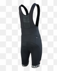 Warm Bright Reflective The Pactimo Fall Collection Has It - Solid png