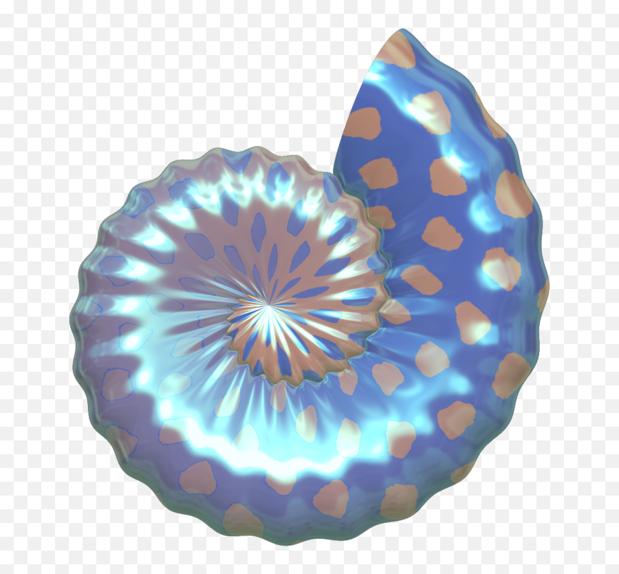 Circle Clipart Seashell - Sea Shell Clipart No Background Png,Sea Shell Png
