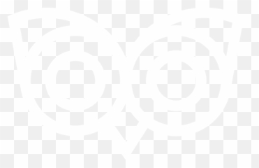 Design Mystics Png Owl Eyes Logo