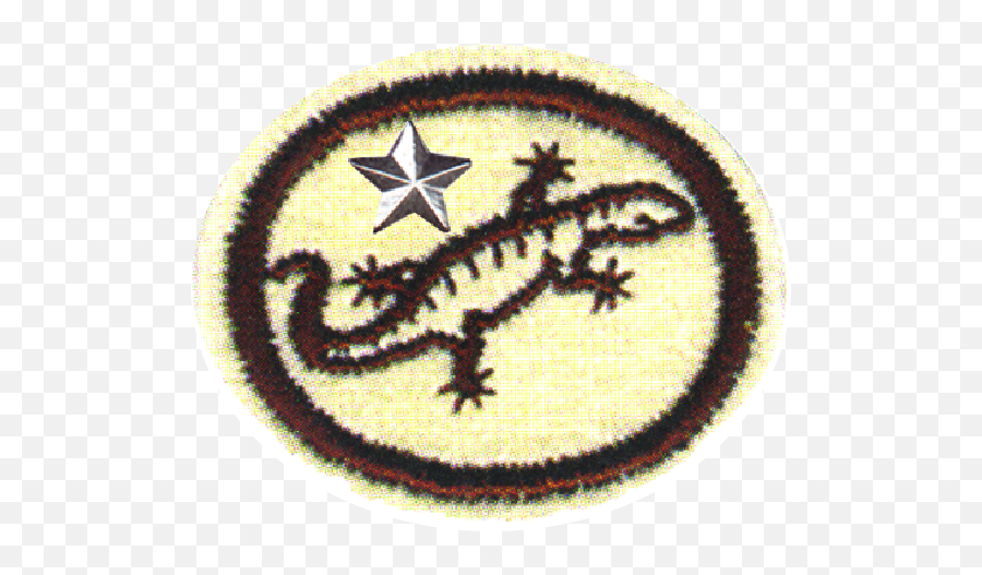 Filereptiles Advancedpng - Pathfinder Wiki Emblem,Reptiles Png