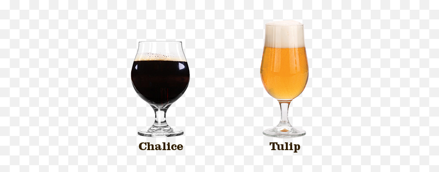 Does Your Beer Glass Shape Really Matter Anchor Breaks It - Tulip Glass Beer Png,Beer Glass Png