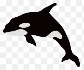 Dolphin Killer Whale Illustration Whales Silhouette - Black Transparent Killer Whale Silhouette Png,Orca Png