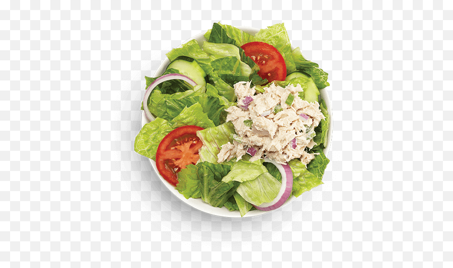 Bornk Salad Bowl Erbert And Gerberts - Garden Salad Png,Salad Bowl Png