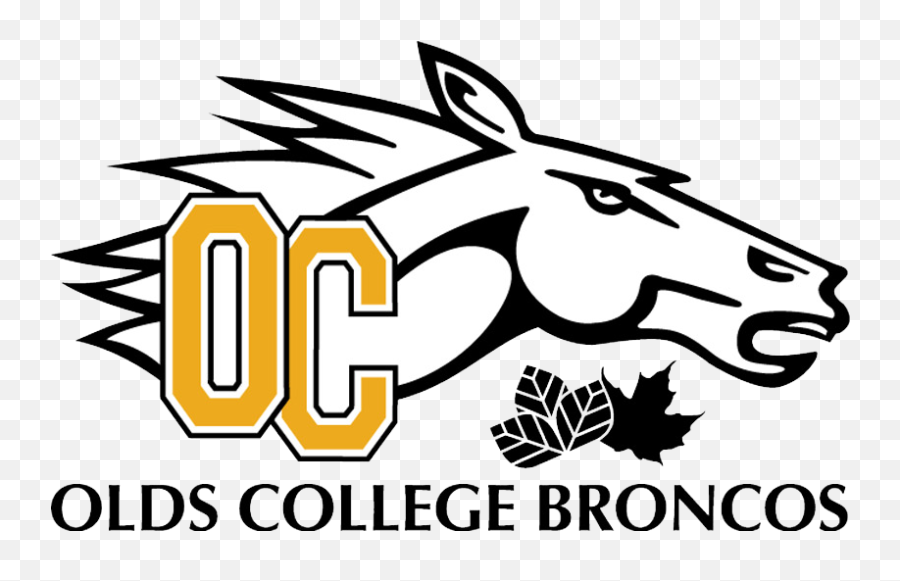 Olds Broncos Png Image With No - Olds College,Broncos Png