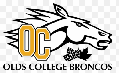 Olds Broncos Png Image With No - Olds College,Broncos Png