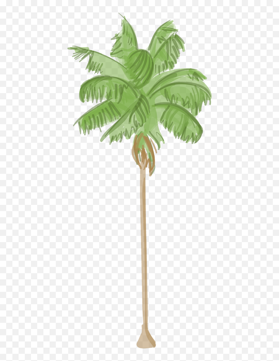 Canary Island Date Palm - Los Angeles Palm Tree Symbol Png,Trees Png