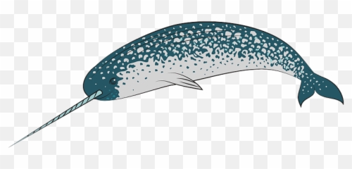 Narwhal Clipart Free Download Transparent Png Creazilla - Narwhal Clipart,Narwhal Png