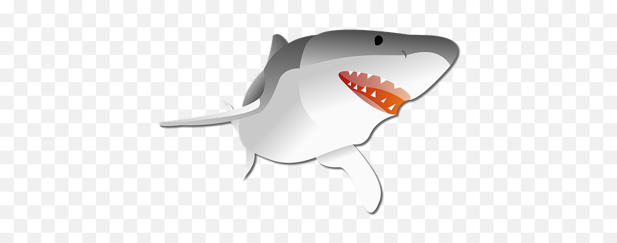 Download Hd Shark Graphic Predator S - Background Racing Kartun Png,Shark Transparent Background