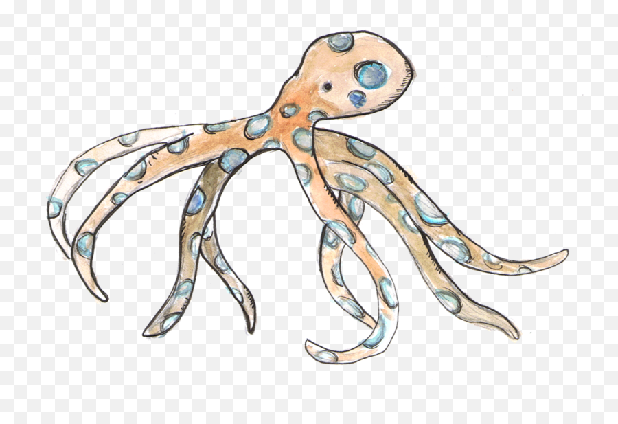 Blue Ring Octopus - Octopus Png,Octopus Png