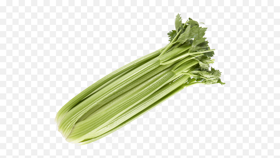 Duda Farm Fresh Foods Products - Chicory Png,Celery Png