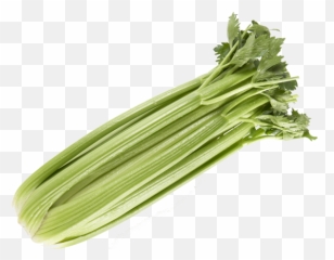 Duda Farm Fresh Foods Products - Chicory Png,Celery Png
