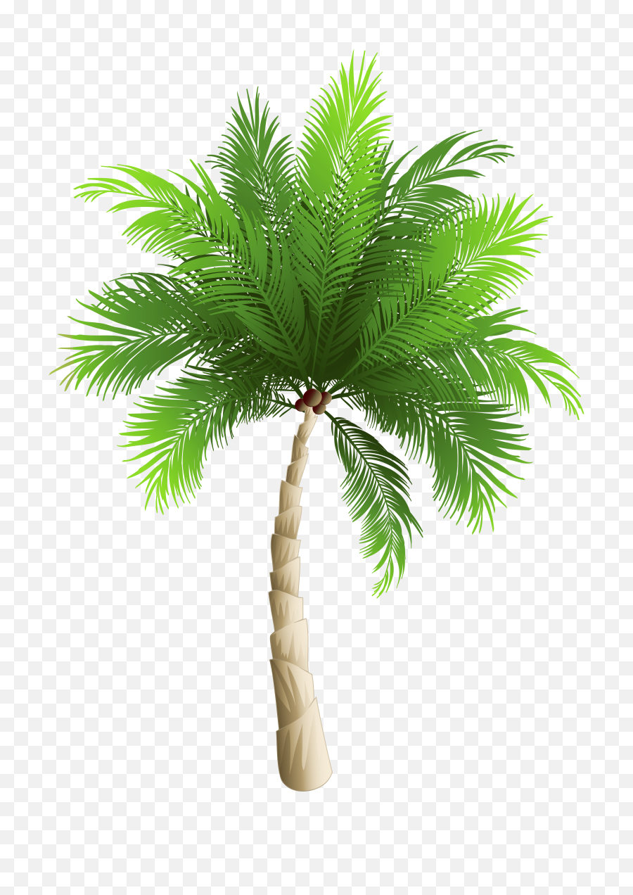 Surfing Clipart Palm Tree Transparent - Palm Tree Png Beach,Palm Trees Transparent
