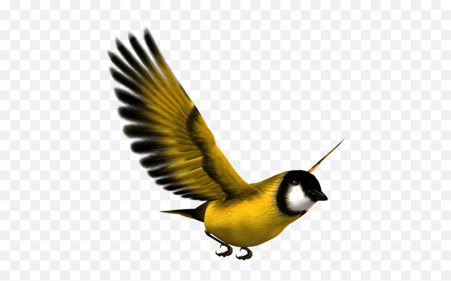 Bird Flight Eurasian Magpie Yellow - Yellow Bird Flying Yellow Bird Png,Bird Png