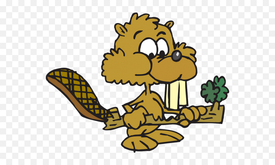 Food Beaver Eating Animal Twig Transparent Png Images U2013 Free - Cartoon Animals Eating,Beaver Png