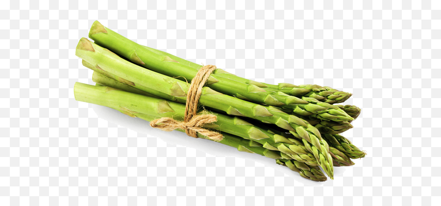 Download Asparagus Png File