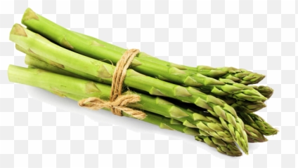 Download Asparagus Png File