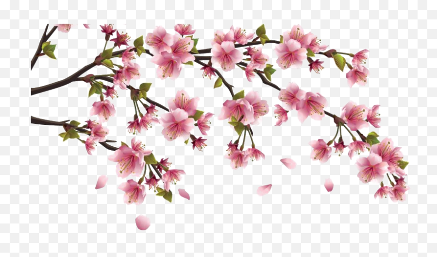 Chinese Flower Png Clipart Mart - Chinese Flowers Clipart,Spring Flowers Png