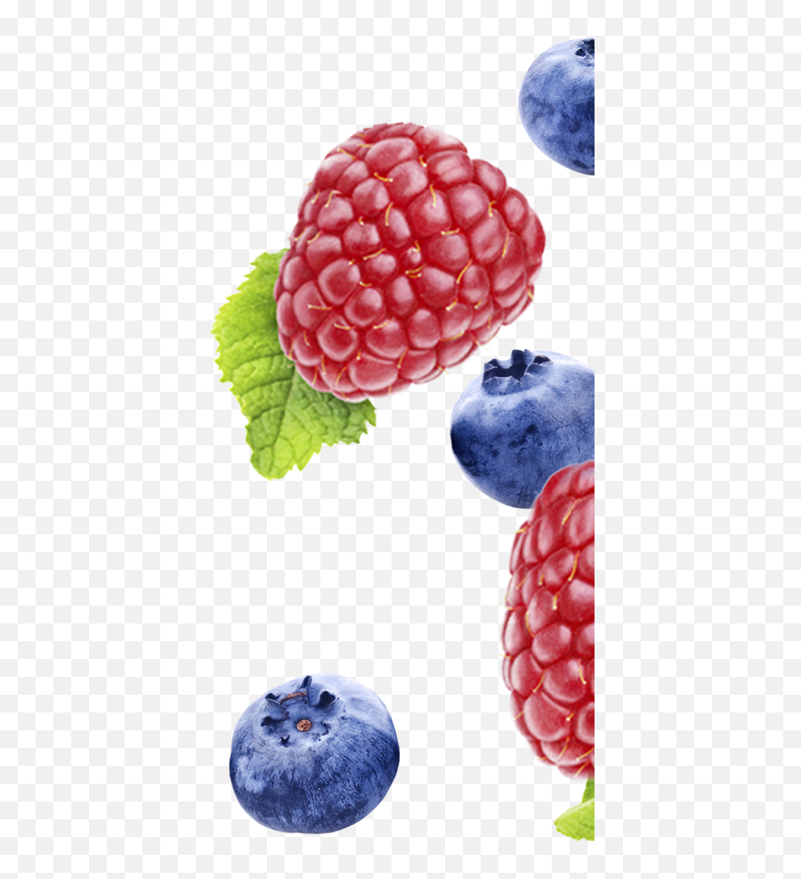 Fynbo Foods - Frutti Di Bosco Png,Blueberry Png