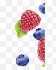 Fynbo Foods - Frutti Di Bosco Png,Blueberry Png