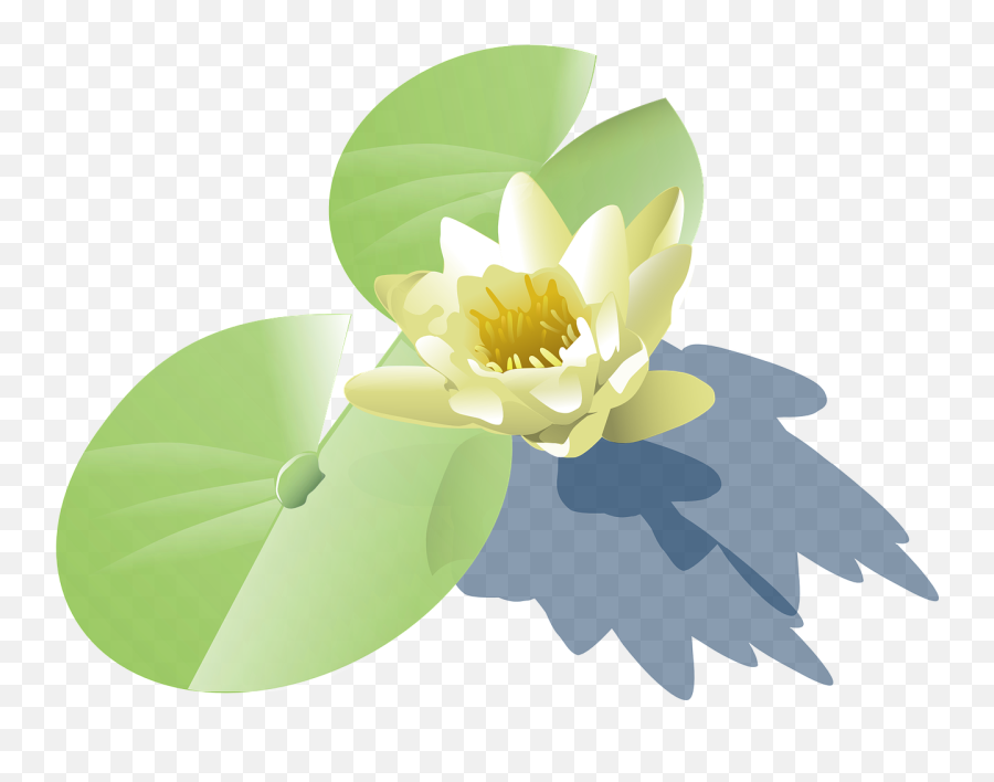 Water Plant Vector Png Clipart - Lily Pad Clip Art,Water Lily Png