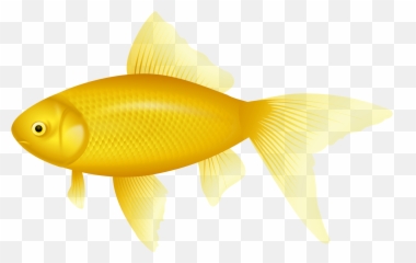 Png Clipart - Art