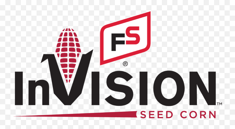Fs Invision - Fs Invision Logo Png,Fs Logo