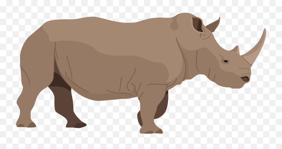 Download Rhino Poster - Black Rhinoceros Full Size Png Clipart Rhino Png,Rhinoceros Png