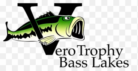 Florida Fishing Guide Vero Trophy Bass Lakes United States - Fish Png,Bass Fish Logo