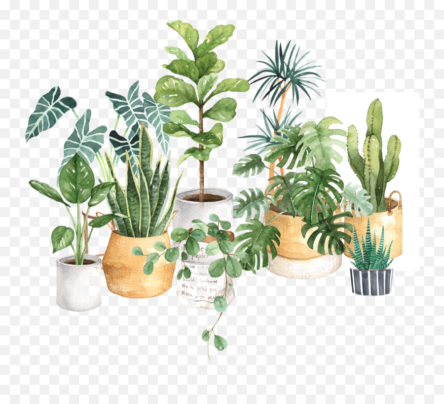 Watercolor House Plants Potted - Watercolor House Plants Png,Potted Plant Png