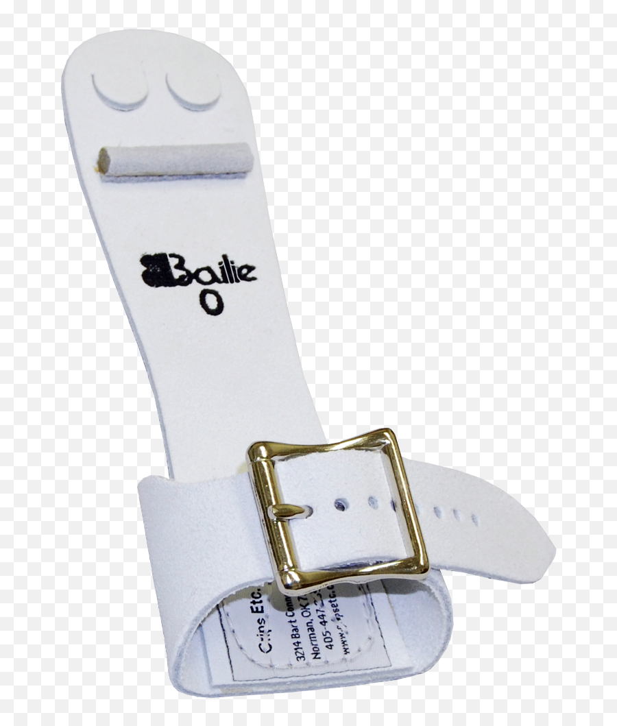 Bailie Womanu0027s Single Buckle - Narrow 301b Solid Png,Buckle Png