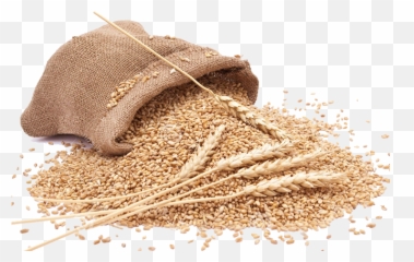 Grain Png Clipart - Grains