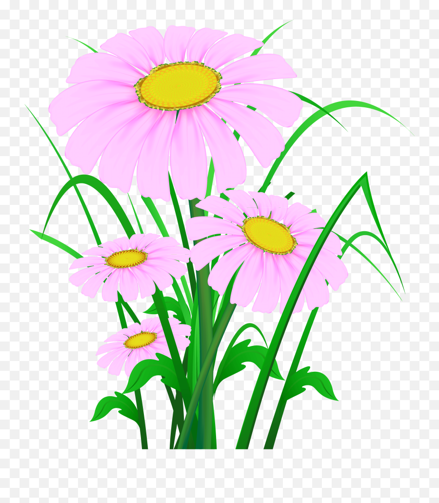 Download Hd Transparent Pink Daisies Png Clipart - Clipart Png Wild Flower Clipart,Wildflowers Png