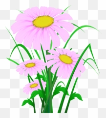 Download Hd Transparent Pink Daisies Png Clipart - Clipart Png Wild Flower Clipart,Wildflowers Png