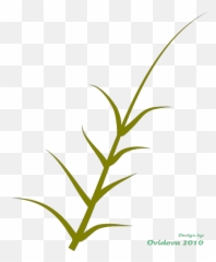 Green Plant Png Svg Clip Art For Web - Download Art Language