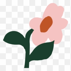 Adult Well - Being Booking Our Hauora Christchurch Poppy png