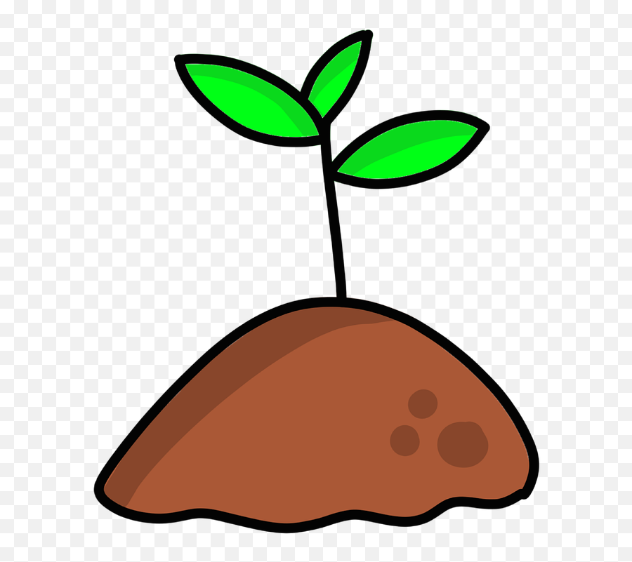 Seedling Plant Soil - Free Image On Pixabay Soil Png,Seedling Icon