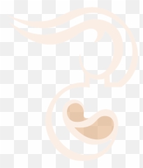 Obgyn Services Logan Ut Cache Valley Womenu0027s Center Transparent PNG