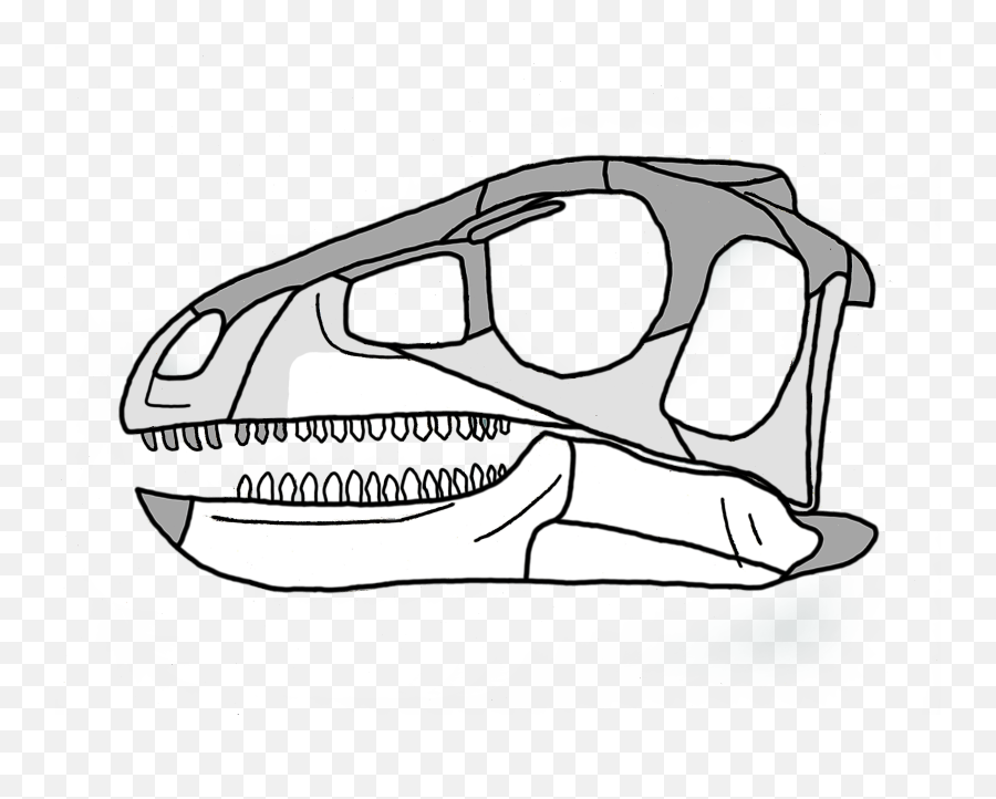 Filepisanosaurus Skullpng - Wikimedia Commons Pisanosaurus Vivio Hace Un Billón De Años,Cartoon Skull Png