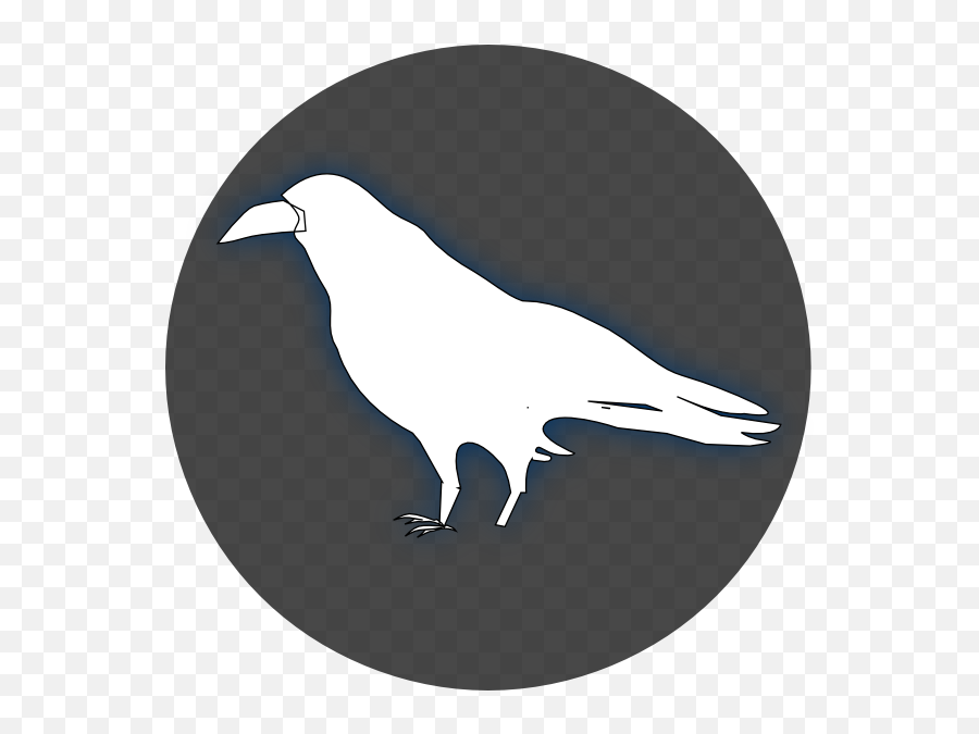 Common Raven Baltimore Ravens Drawing - Raven Clip Art White Png,Baltimore Ravens Png