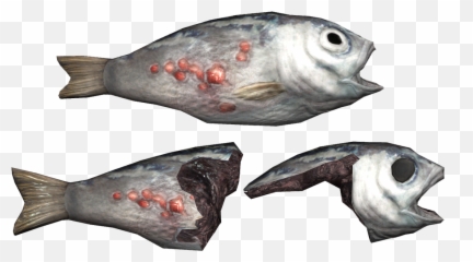 Fish Png Dead
