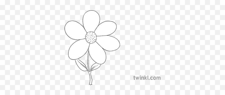 Flower Outline Black And White - Line Art Png,Flower Outline Png