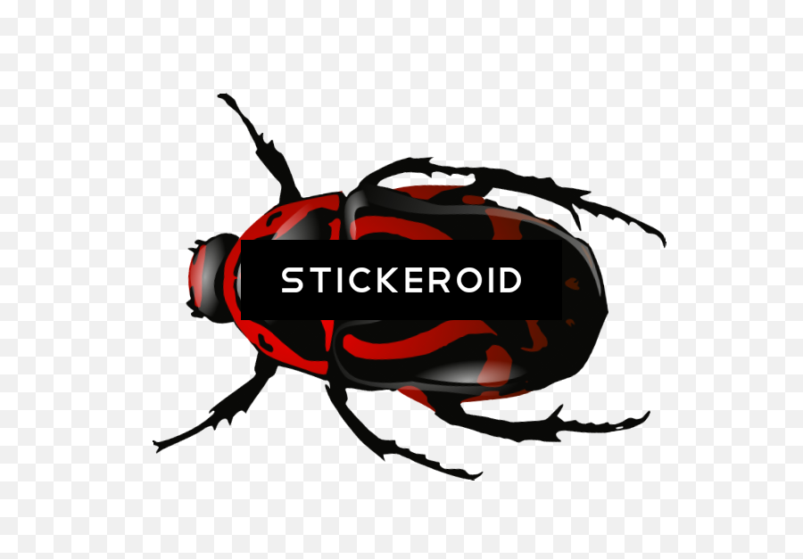 Roach Bug Bugs Insects - Beetle Clip Art Full Size Png Beetle Clip Art,Roach Png