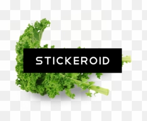 Transparent Photo Of Kale Png Image - Pure C,Kale Png