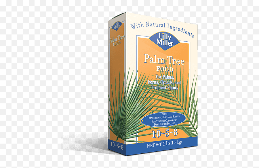 Download Hd Lilly Miller Palm Tree Food 10 5 - Lilly Miller Lilly Miller Png,Lilly Png