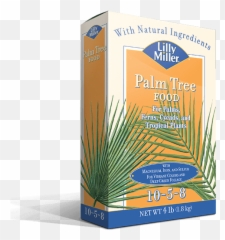 Download Hd Lilly Miller Palm Tree Food 10 5 - Lilly Miller Lilly Miller Png,Lilly Png