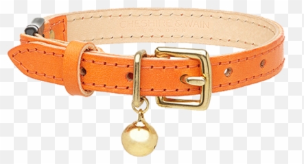 Orange Leather Cat Collar Cheshire - Cat Collar Png,Orange Cat Png